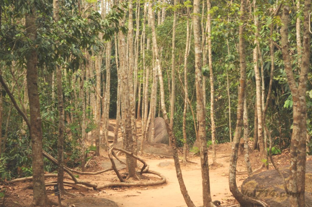 Kbal Spean riviere 1000 lingas angkor