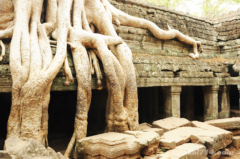 temple TA PROHM angkor