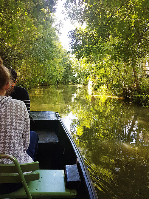 marais poitevin