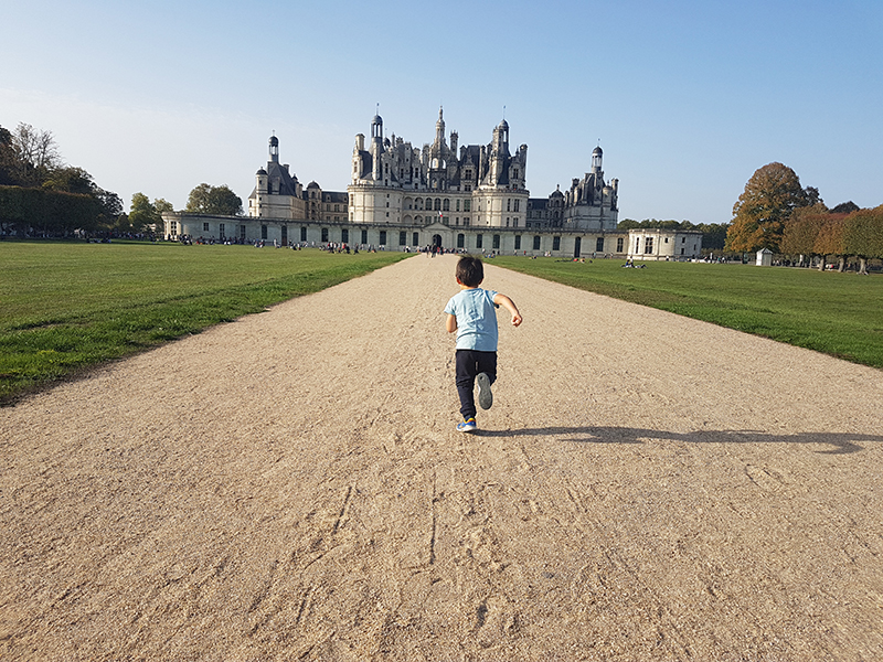 chateau de chambord leonoard de vinci