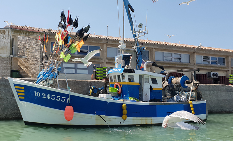 bateau de peche cotiniere