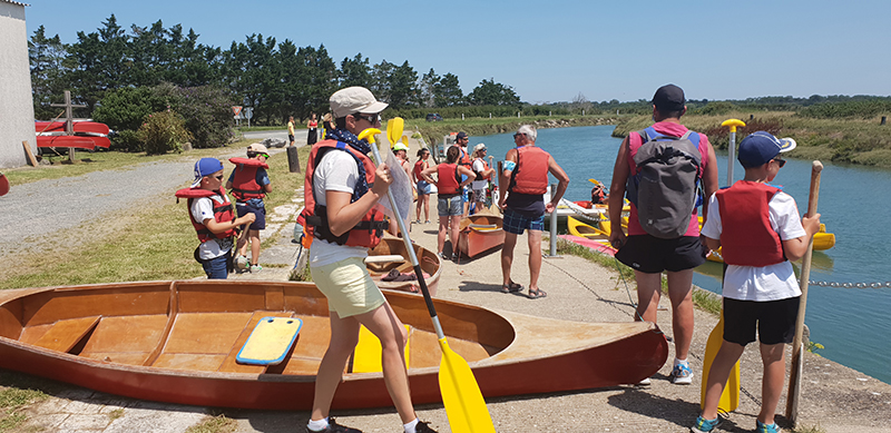 canoe marais ile d'oléron