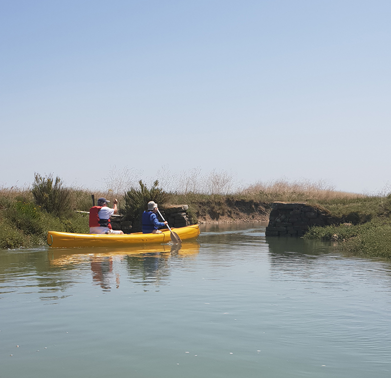 canoe marais ile d'oléron