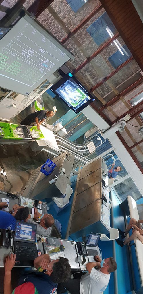 visite criée port la cotiniere