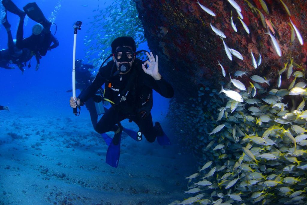 plongée sous marine