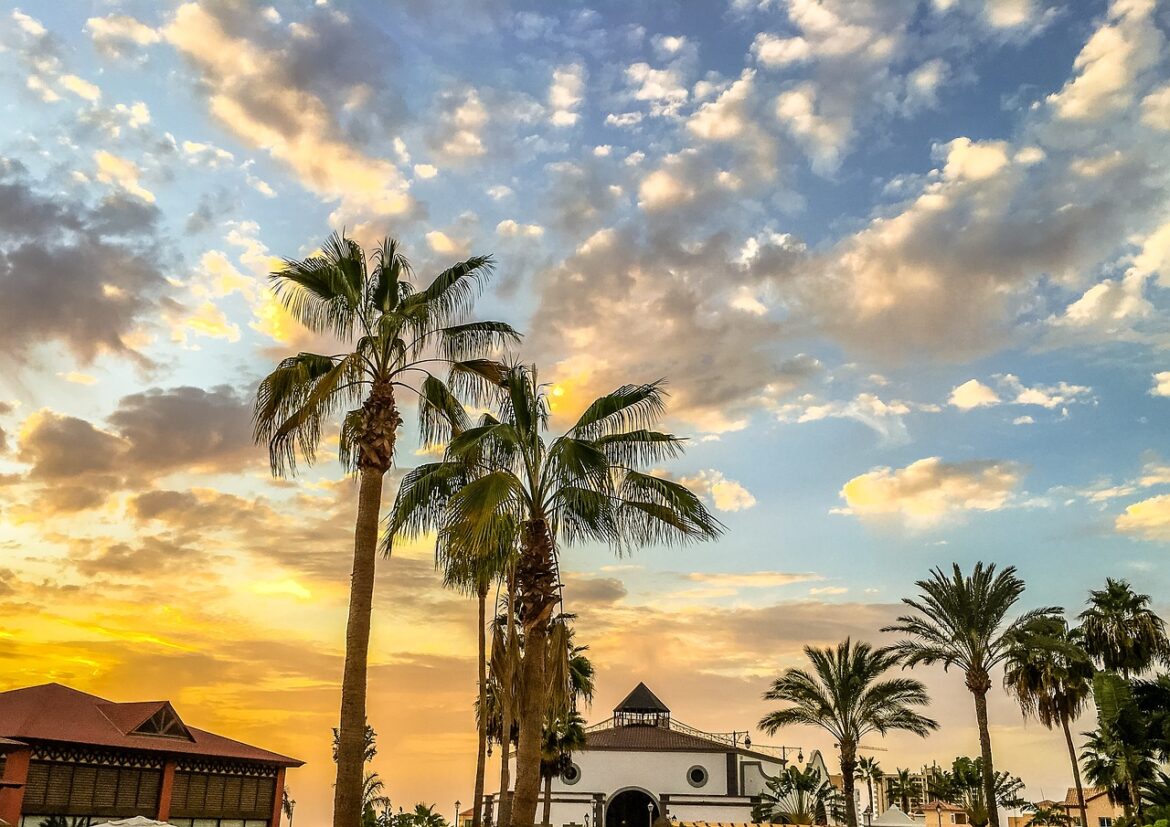 tenerife insolite
