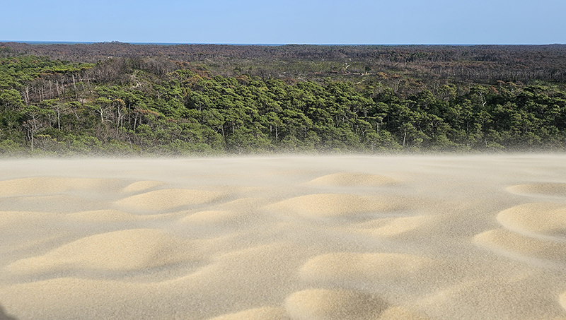 dune du pilat