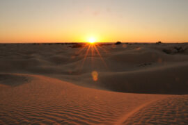 désert du sahara tozeur