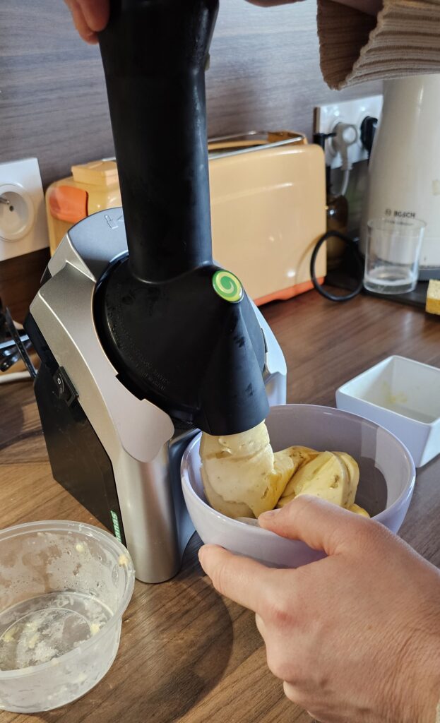 machine à glace Yonanas fruit
