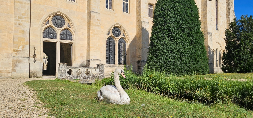 abbaye royaumont