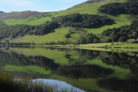Castell y Bere 