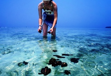 Pulau Pramuka
