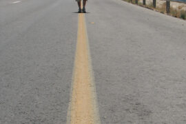 route en gendi israel