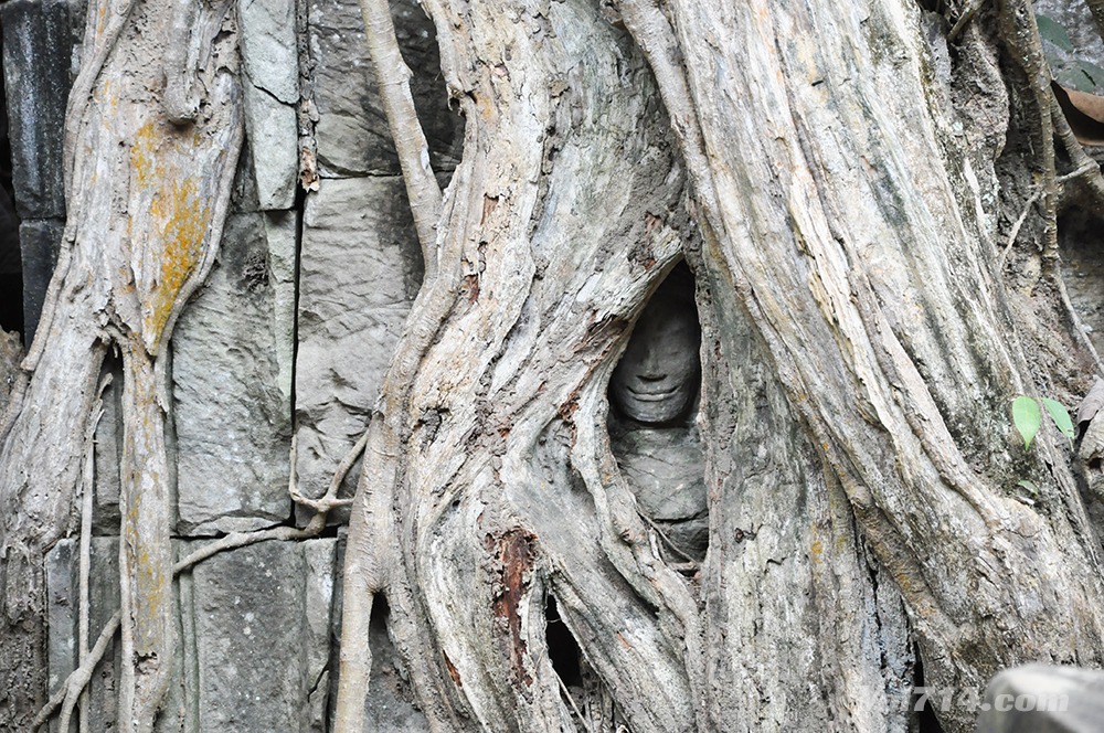 Cambodge ta prohm angkor