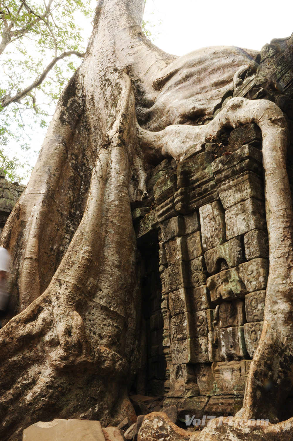 Cambodge ta prohm angkor