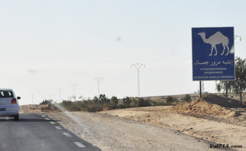désert tunisie