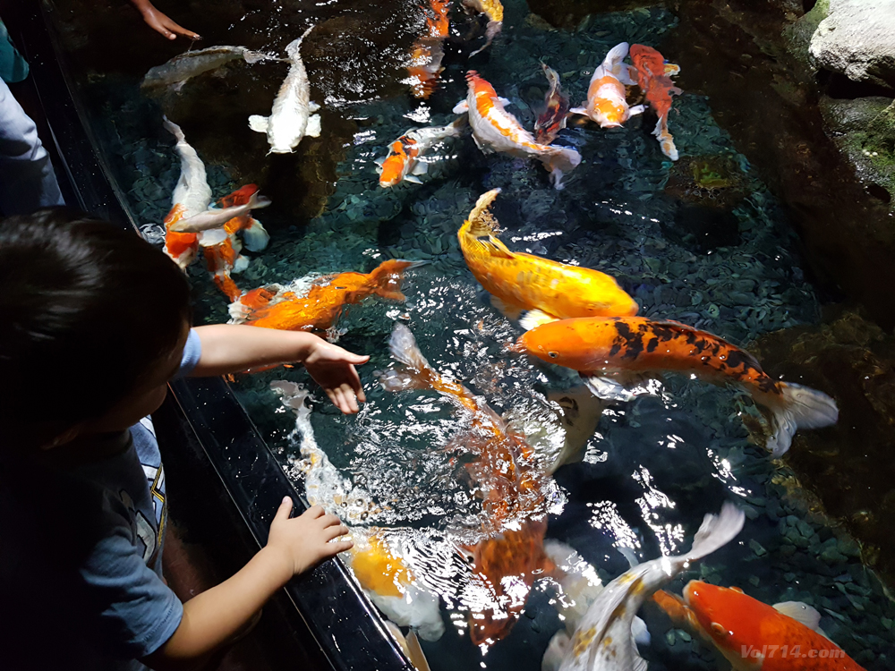 aquarium cineaqua paris