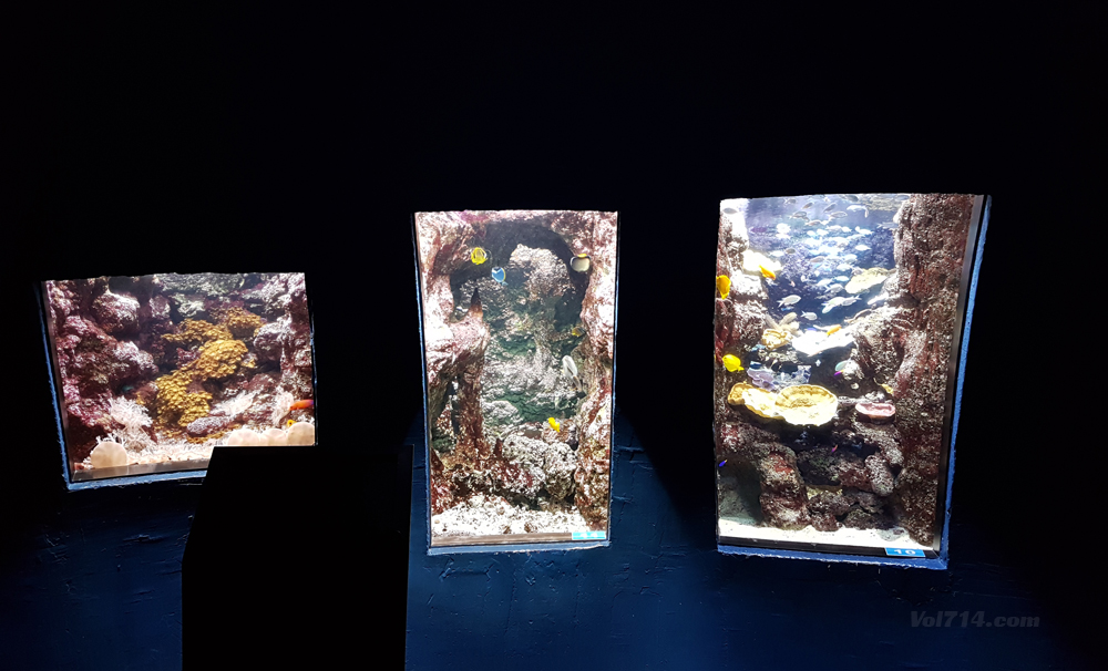 aquarium cineaqua paris