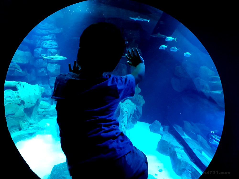 aquarium cineaqua paris