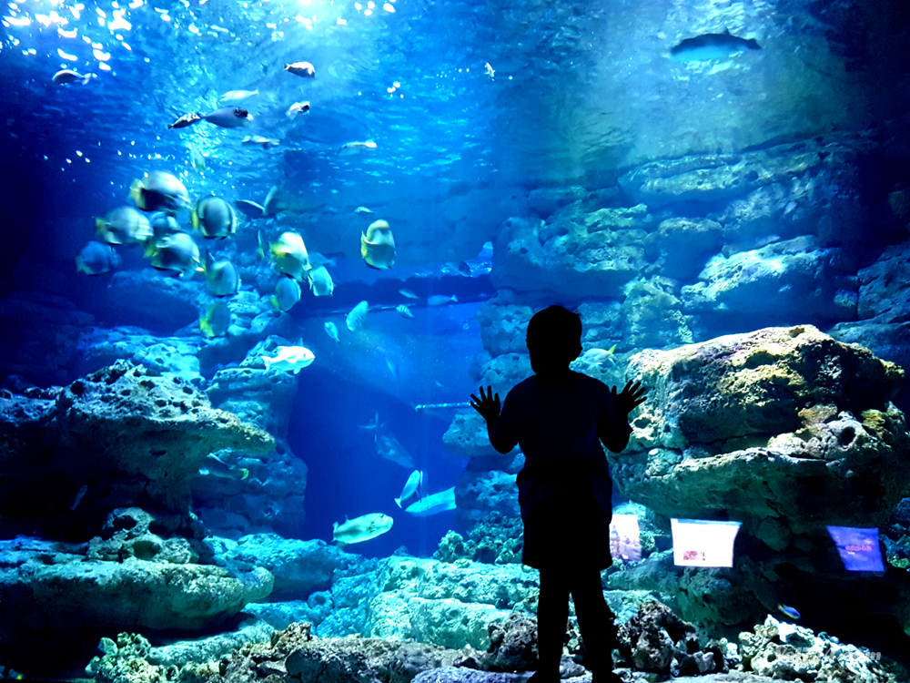 aquarium cineaqua paris