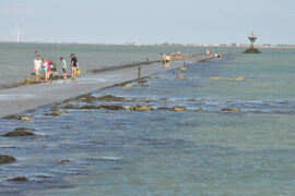 noirmoutier