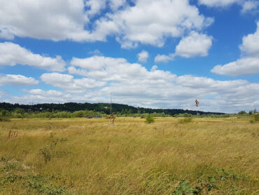 le parc du peuple de l'herbe