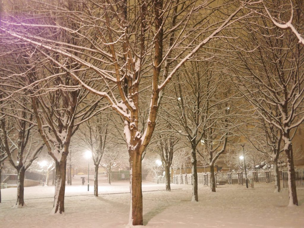 paris belleville sous la neige
