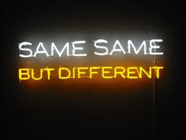 same same but different