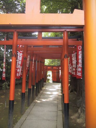torii japon