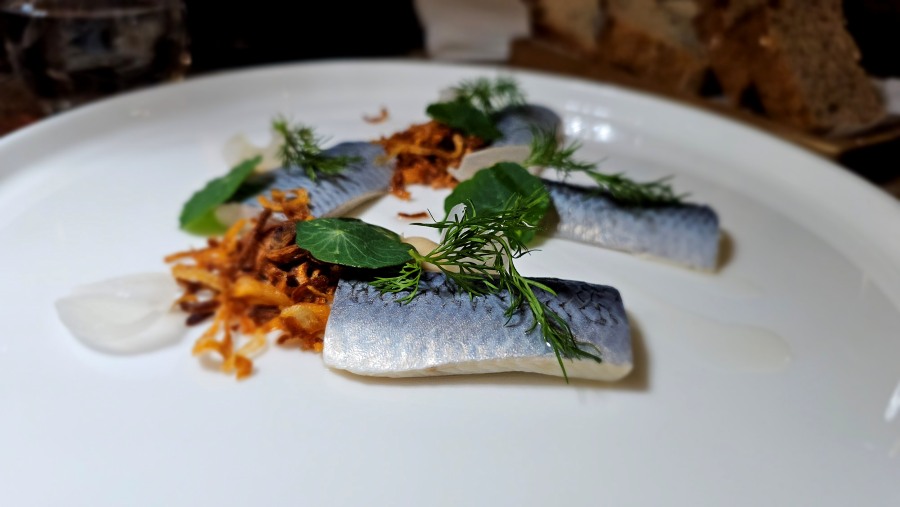 cracovie insolite restaurant Wierzynek