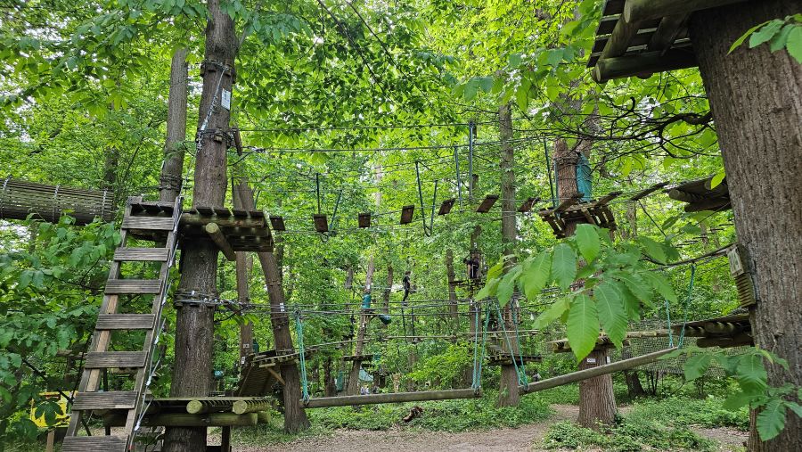 sherwood parc accrobranche