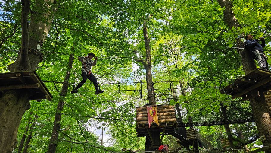 sherwood parc accrobranche