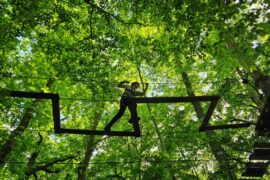 sherwood parc accrobranche