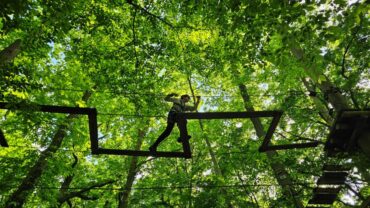sherwood parc accrobranche