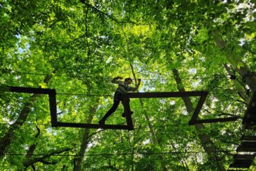 sherwood parc accrobranche