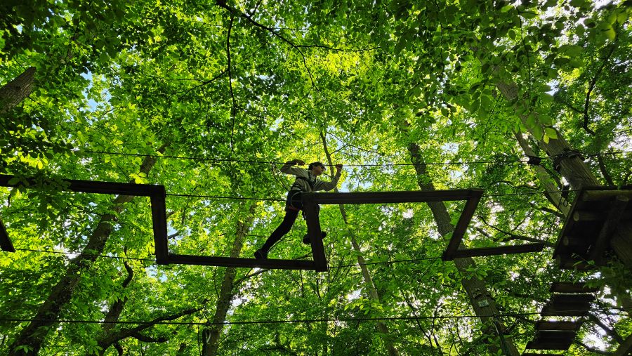 sherwood parc accrobranche