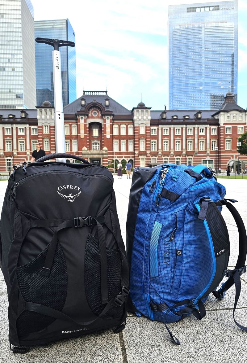 sac voyage osprey transporter squffel 