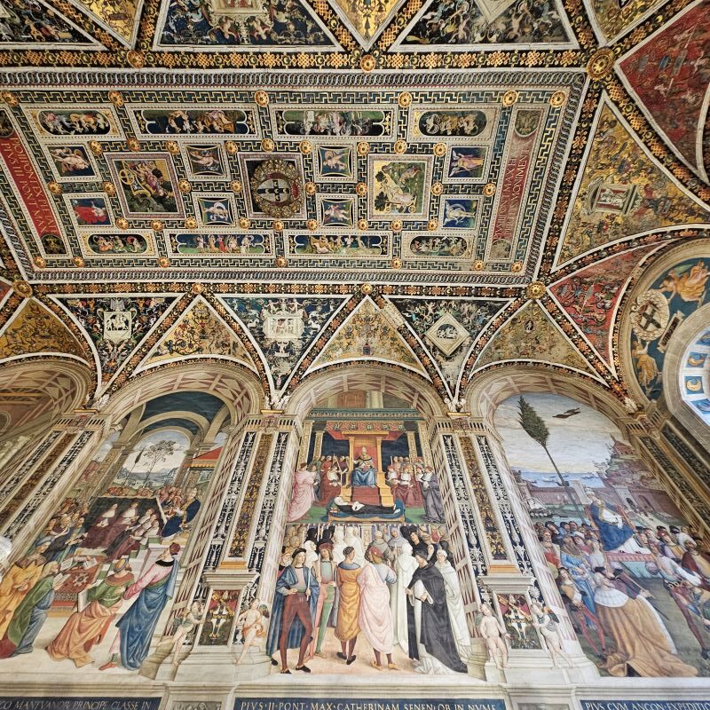 Libreria Piccolomini duomo sienne (2)