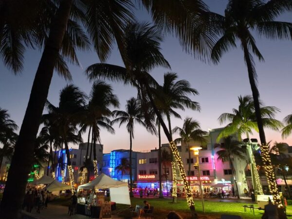 miami insolite