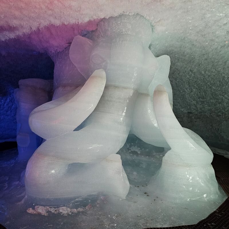 grotte de glace 2 alpes